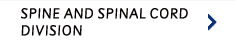 SPINE AND SPINAL CORD DIVISION